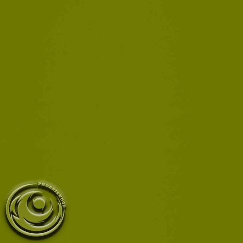 645 - Olive Green