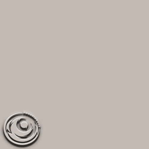 878 - HG New Vison