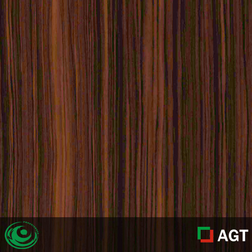 604 - HG Ebony